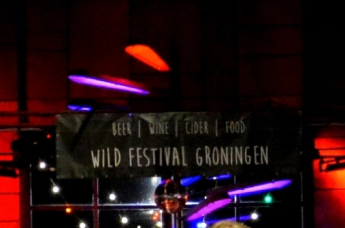 Wild festival 2025